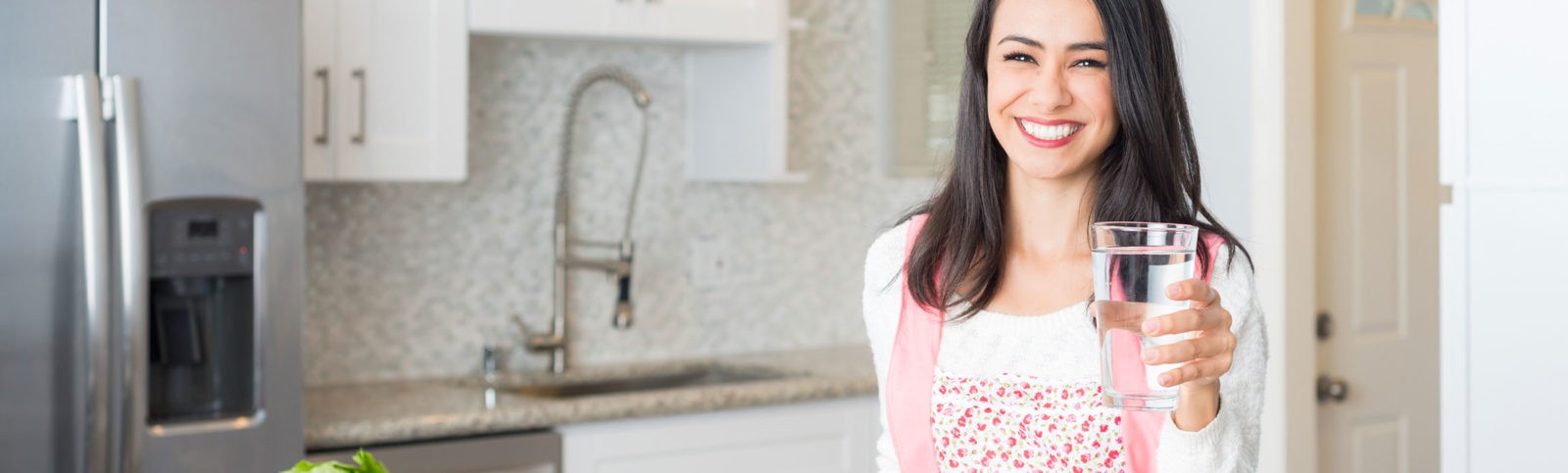 Drinking Water Systems | Aqua Clear Water Systems | East TN