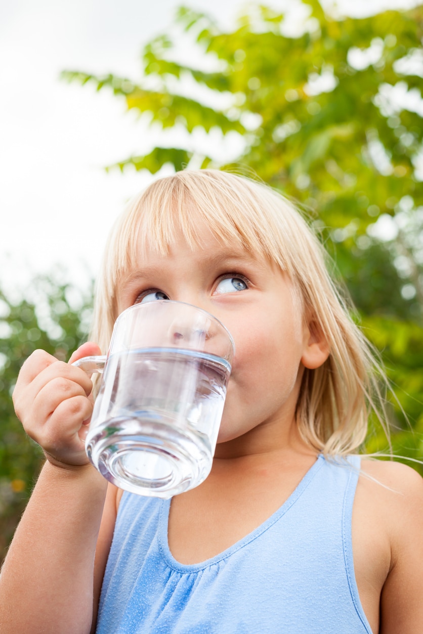 Water Filtration System